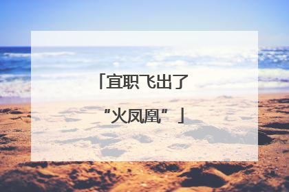 宜职飞出了“火凤凰”